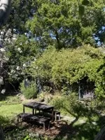 A garden shed covered in plants