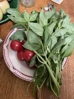 A bowl of basil and tomatoes